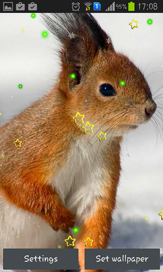 Скачать Winter squirrel - бесплатные живые обои для Андроида на рабочий стол.