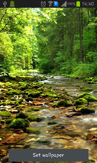 Скачать Wonderful forest river - бесплатные живые обои для Андроида на рабочий стол.