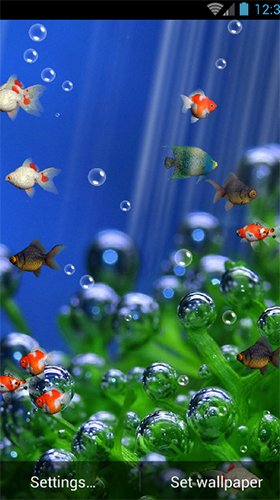 Aquarium by minatodev