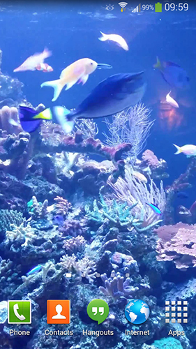 Aquarium HD 2