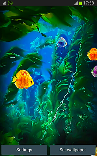 Скриншот экрана Aquarium 3D by Pups apps на телефоне и планшете.
