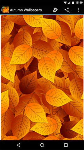 Autumn wallpapers by Infinity