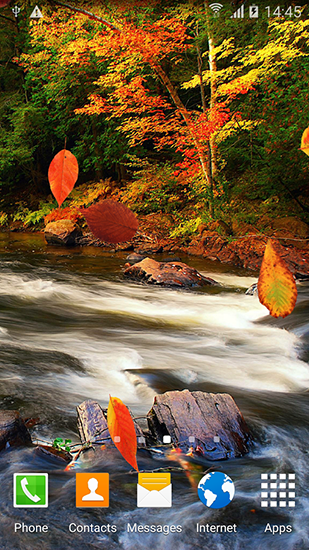 Скриншот экрана Autumn forest на телефоне и планшете.