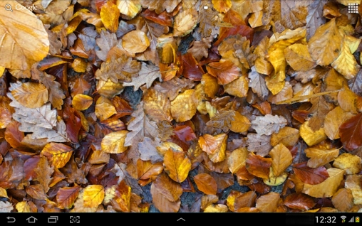 Скриншот экрана Autumn leaves 3D на телефоне и планшете.