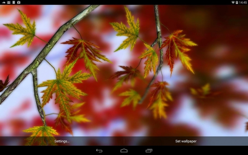 Скриншот экрана Autumn leaves 3D by Alexander Kettler на телефоне и планшете.