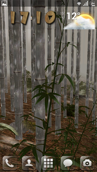 Скриншот экрана Bamboo grove 3D на телефоне и планшете.