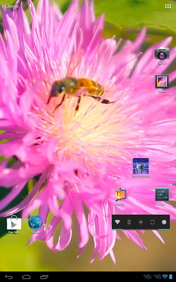 Скриншот экрана Bee on a clover flower 3D на телефоне и планшете.