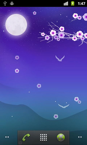 Скриншот экрана Blooming night на телефоне и планшете.