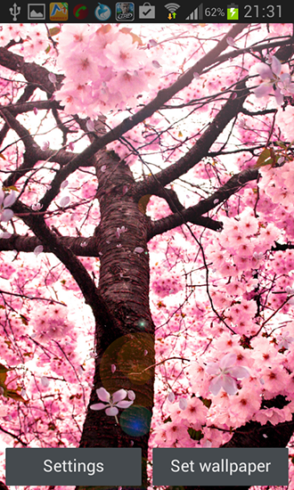 Скриншот экрана Cherry blossom by Creative factory wallpapers на телефоне и планшете.
