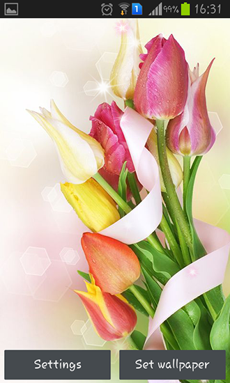 Скриншот экрана Colorful tulips на телефоне и планшете.