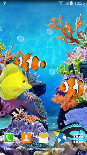 Скриншот экрана Coral fish на телефоне и планшете.
