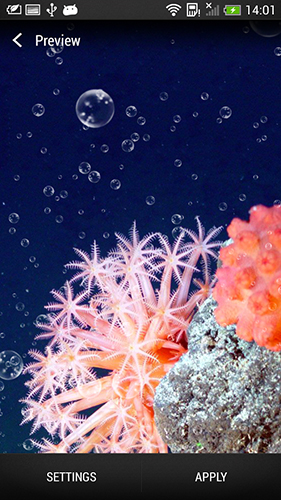 Скриншот экрана Coral reef на телефоне и планшете.