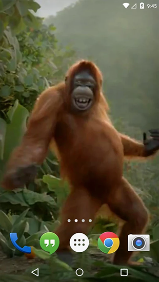 Скриншот экрана Dancing monkey на телефоне и планшете.