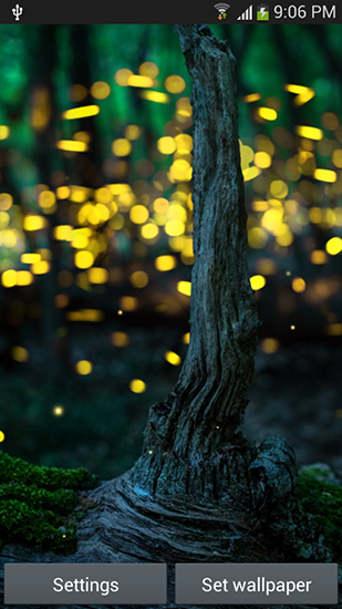 Скриншот экрана Fireflies by Top live wallpapers hq на телефоне и планшете.