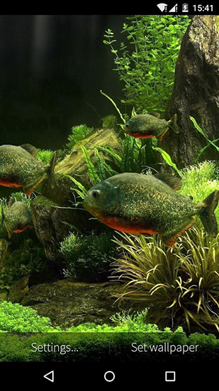 Скриншот экрана Fish aquarium 3D на телефоне и планшете.