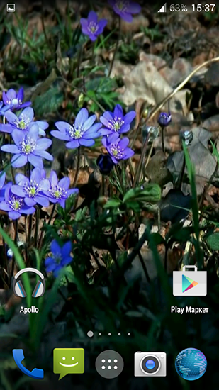 Скриншот экрана Forest flowers на телефоне и планшете.
