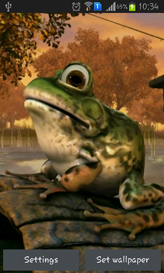 Скриншот экрана Frog 3D на телефоне и планшете.