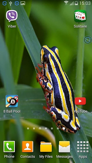 Скриншот экрана Frogs: shake and change на телефоне и планшете.