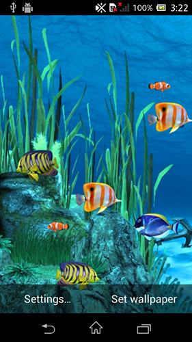 Скриншот экрана Galaxy aquarium на телефоне и планшете.