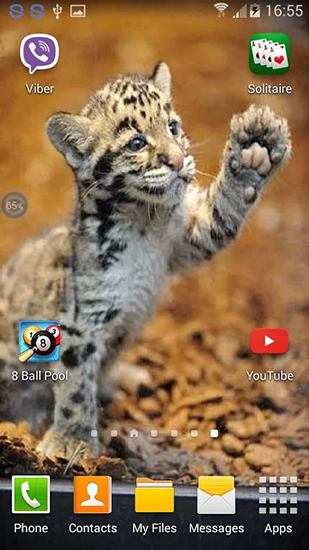 Скриншот экрана Leopards: shake and change на телефоне и планшете.