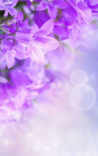 Скриншот экрана Lilac flowers на телефоне и планшете.