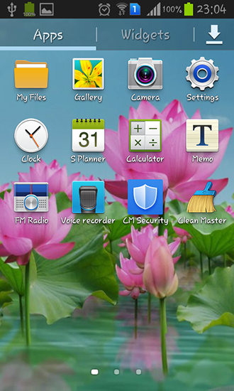 Скриншот экрана Lotus pond на телефоне и планшете.