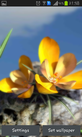 Скриншот экрана Nature live: Spring flowers 3D на телефоне и планшете.