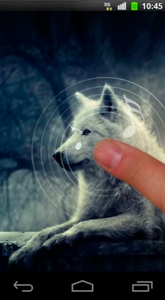 Скриншот экрана Night wolves на телефоне и планшете.