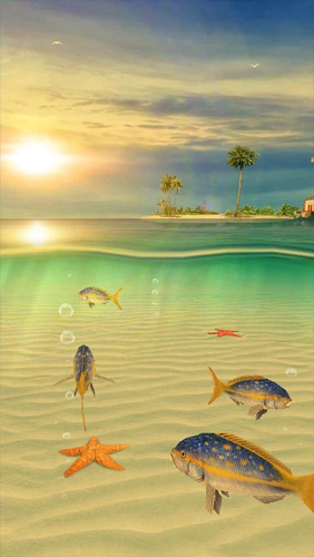 Ocean Aquarium 3D: Turtle Isles