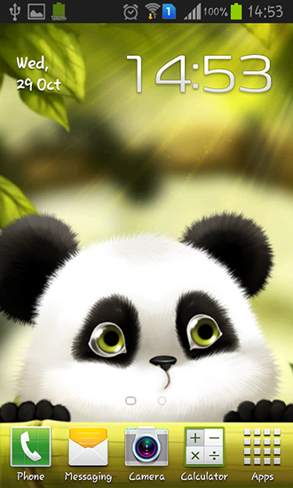 Скриншот экрана Panda на телефоне и планшете.