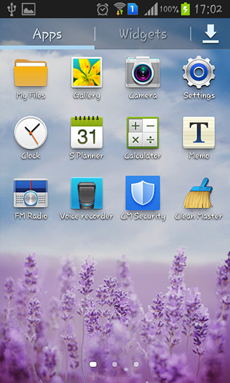 Скриншот экрана Purple lavender на телефоне и планшете.