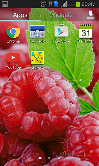 Скриншот экрана Raspberries на телефоне и планшете.
