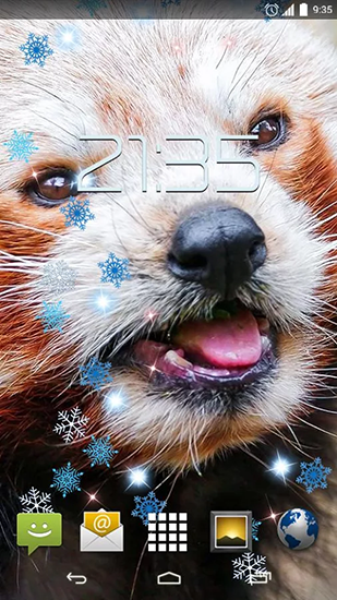 Скриншот экрана Red panda на телефоне и планшете.
