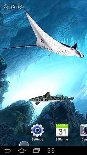 Sharks 3D by BlackBird Wallpapers