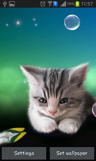 Скриншот экрана Sleepy kitten на телефоне и планшете.
