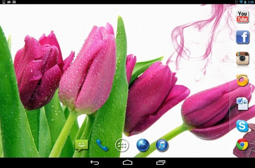 Скриншот экрана Spring rain на телефоне и планшете.