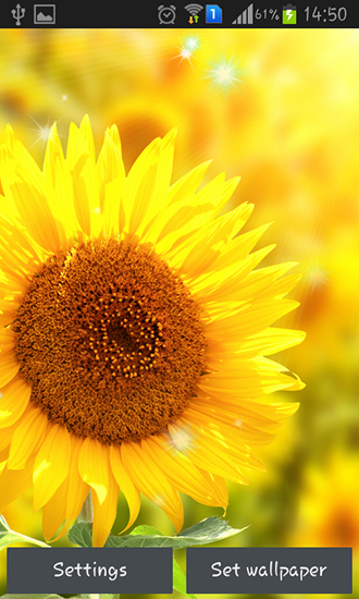 Скриншот экрана Sunflower by Creative factory wallpapers на телефоне и планшете.