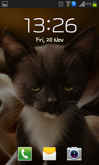 Скриншот экрана Surprised kitty на телефоне и планшете.