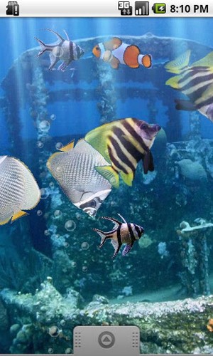 Скриншот экрана The real aquarium на телефоне и планшете.