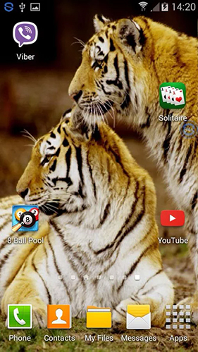 Скриншот экрана Tigers: shake and change на телефоне и планшете.