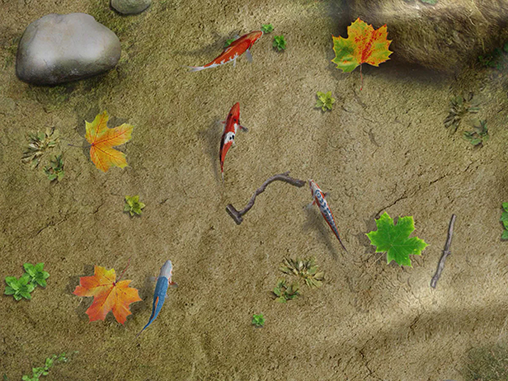 Скриншот экрана Water koi fish pond на телефоне и планшете.