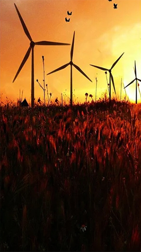 Windmill by Live Wallpapers HD
