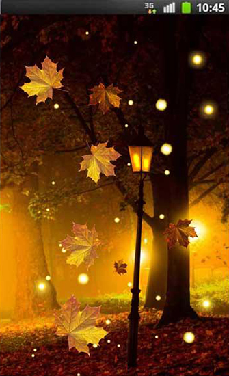 Autumn fireflies