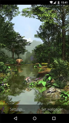 Rainforest 3D