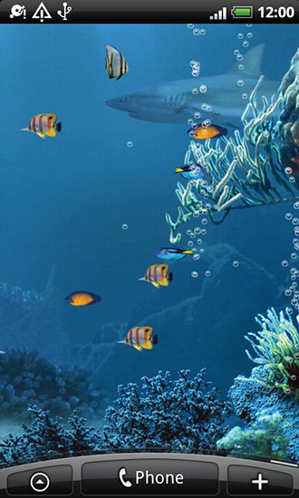 Shark reef