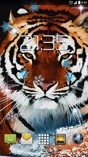 Snow tiger