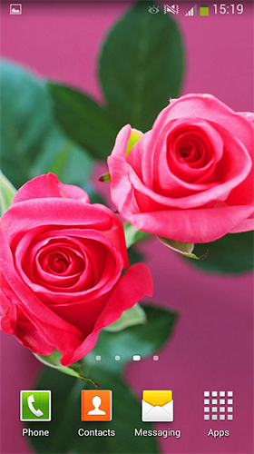 Roses by Cute Live Wallpapers And Backgrounds