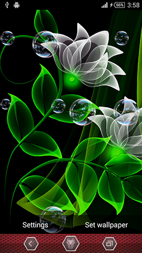 Neon flowers by Next Live Wallpapers