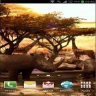 Кроме живых обоев на Андроид Magical forest by HD Wallpaper themes, скачайте бесплатный apk заставки Africa 3D.