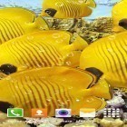Кроме живых обоев на Андроид Ocean waves by Keyboard and HD Live Wallpapers, скачайте бесплатный apk заставки Aquarium by Top Live Wallpapers.